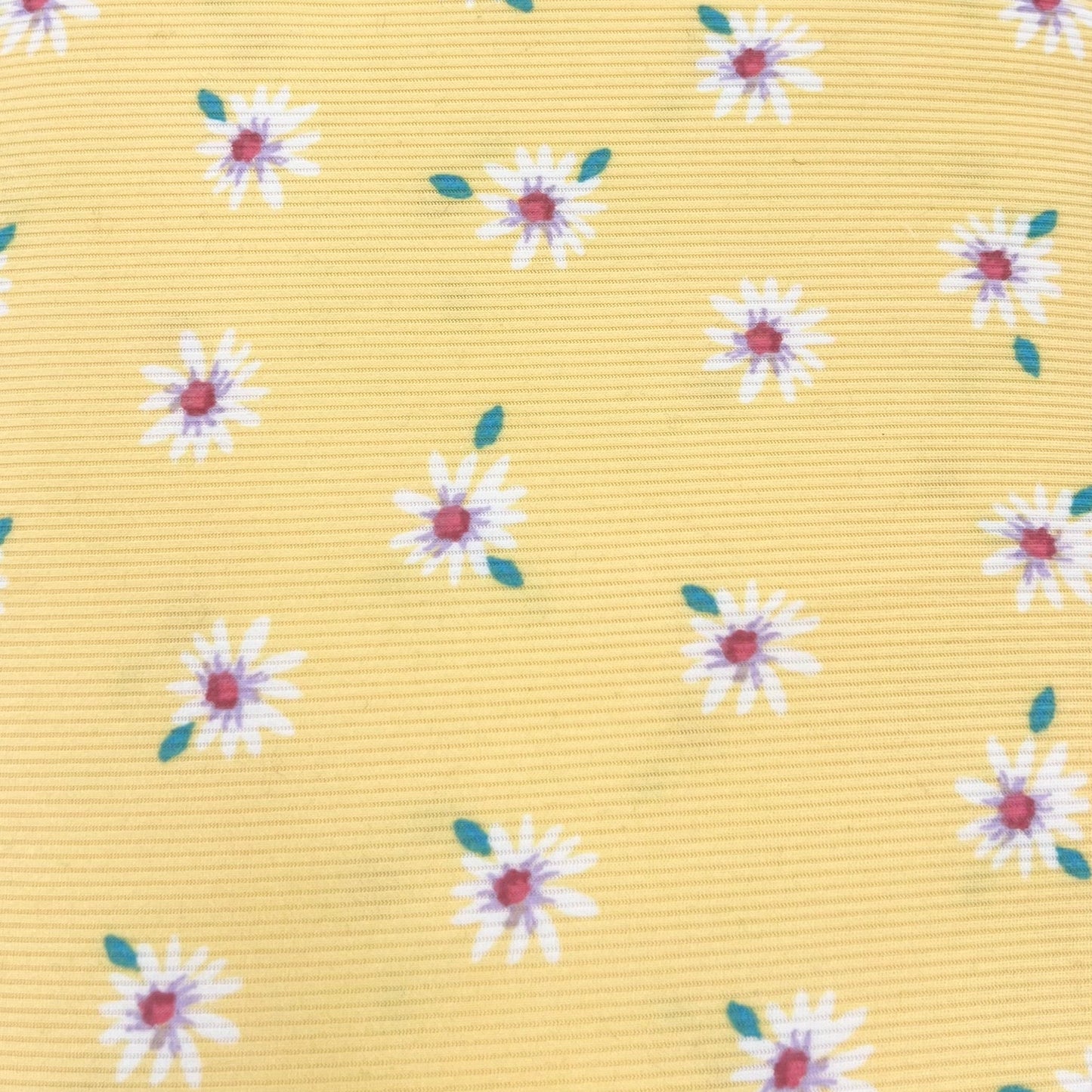 Stretch Ribbed Daisy